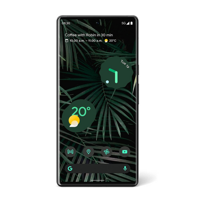 Google Pixel 6 Pro